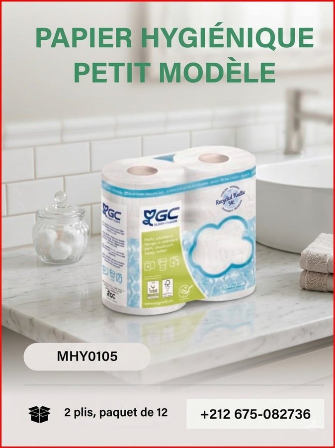 Papier hygiénique petit modèle 2 plis, paquet de 12 (réf MHY0105)